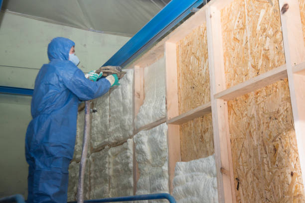 Best Insulation Inspection Services  in Sussex, NJ